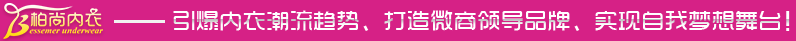 引爆内衣潮流趋势、打造微商领导品牌、实现自我梦想舞台